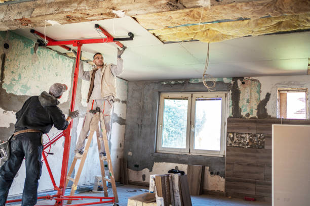 Best Eco-Friendly Insulation in Ottawa, IL