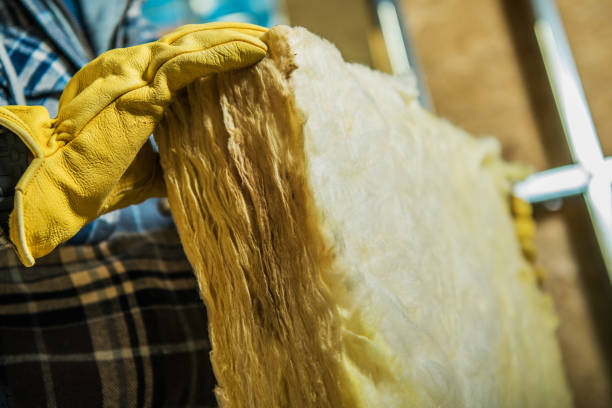 Best Specialized Insulation Services in Ottawa, IL